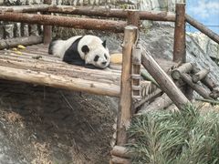 -泉州海丝野生动物世界