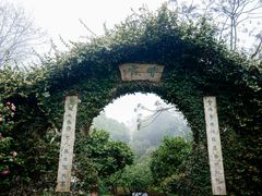 -南山植物园