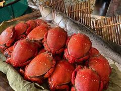 -上海崇明金茂凯悦酒店