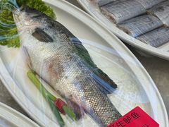 -单家老院·院子里的青岛菜(沙子口店)