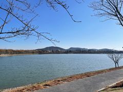 -羊山湖公园