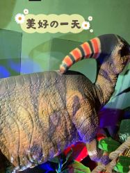 -恐龙探索乐园(磁器口店)