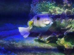 -太平洋海底世界