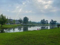 -两河城市森林公园