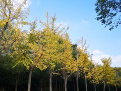 -长广溪湿地公园
