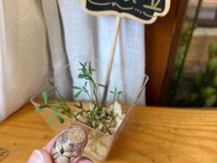 -饵块食光·云南有机手作饵块