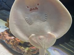 -上海海洋水族馆