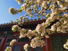-海棠花溪(元大都城垣遗址公园)