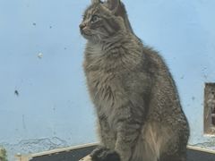 -青藏高原野生动物园