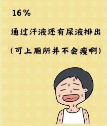 -Fundi张玉珊修身堂·indiba·BTL科技瘦身