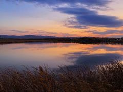 -野鸭湖国家湿地公园