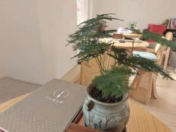-归位瑜伽＆普拉提馆