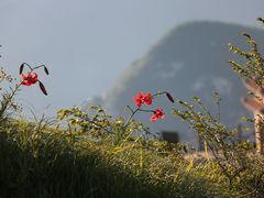 -华山风景名胜区