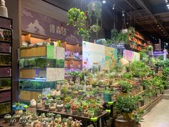 -扶光书店(中环店)