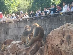 -昆明动物园