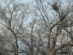 -终南山南五台景区