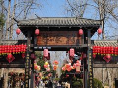 -合肥滨湖国家森林公园