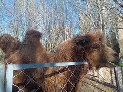 -长白岛森林公园