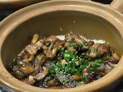 -红星光发煲仔饭(文海店)