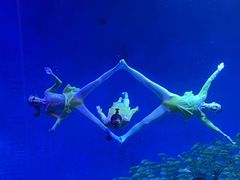 -合肥海洋世界