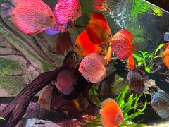 -上海海洋水族馆