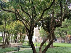 -上海安亭别墅花园酒店