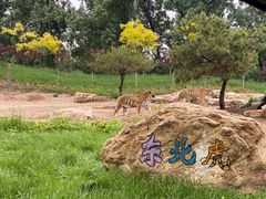 -北京野生动物园