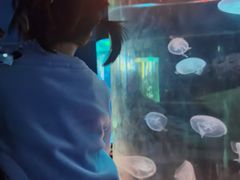 -苏州海洋馆