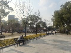-新江湾城公园