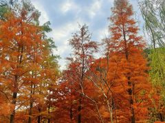 -狼山风景名胜区
