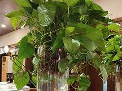 -宋园·金宴浙鲜馆(静安店)