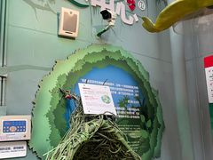 -正佳雨林生态植物园