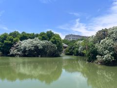-上海吴淞炮台湾国家湿地公园