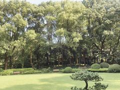 -申粤轩酒楼·三十年粤菜经典(丁香花园店)