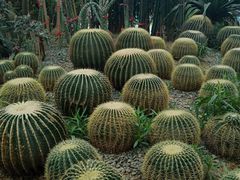 -祥源·阜阳生态乐园