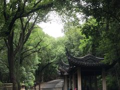 -灵岩山风景区