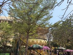 -灵玲国际马戏城