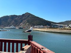 -大连老虎滩海洋公园