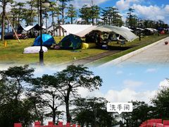 -芒洲湿地公园