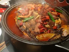 -辣尚瘾·烤鱼·新川菜(交大直营店)
