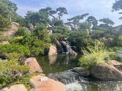 -罗红摄影艺术馆