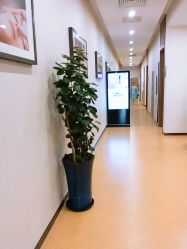 点击看大图 -北京米扬丽格医疗美容·联合丽格鼻整形中心