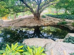 -晓港公园