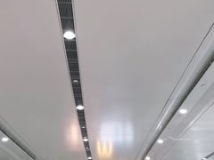 -麦当劳(北京大兴机场二层国内到达(安检外)店)