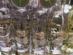 -谢列梅捷沃国际机场