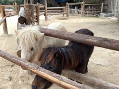 -泉州海丝野生动物世界
