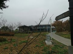 -白鹭湾湿地公园