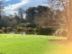 -墨尔本皇家植物园