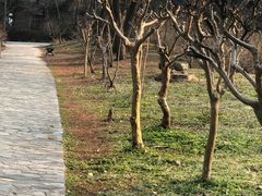 -蜀冈西峰生态公园