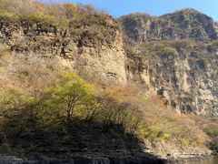 -北京龙庆四季香农家饭庄·灶台鱼·碳烤虹鳟鱼(龙庆峡店)